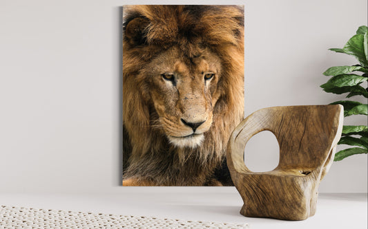 Cuadro decorativo canvas León 005