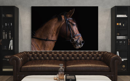 Cuadro decorativo canvas Caballo 002