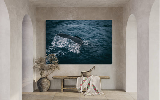 Cuadro decorativo canvas Ballena 001
