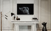 Cuadro decorativo canvas Gato 002