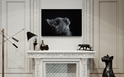 Cuadro decorativo canvas Gato 002