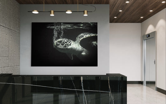 Cuadro decorativo canvas Tortuga 002