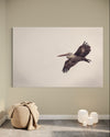 Cuadro decorativo canvas Pelicano 001