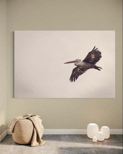 Cuadro decorativo canvas Pelicano 001