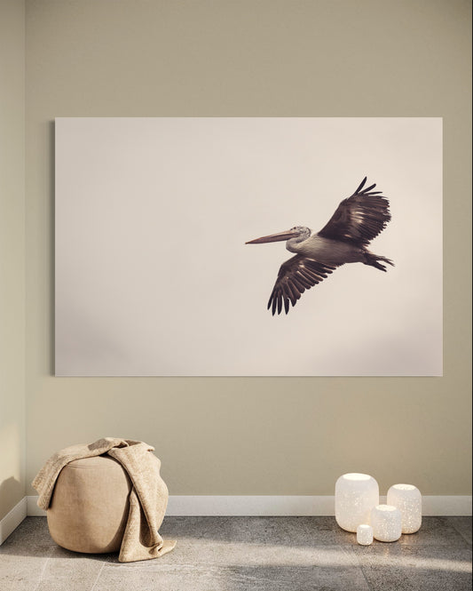 Cuadro decorativo canvas Pelicano 001