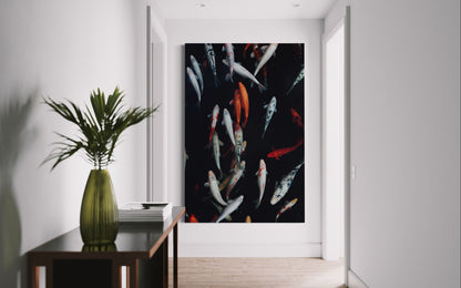 Cuadro decorativo canvas Koi 001