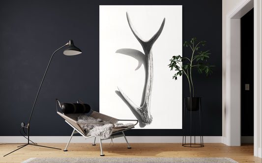Cuadro decorativo canvas Cuerno 001