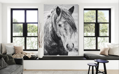 Cuadro decorativo canvas Caballo 001