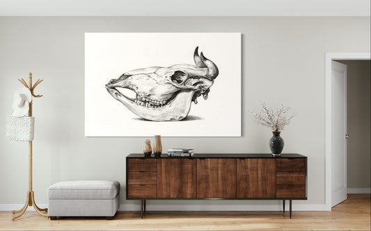 Cuadro decorativo canvas Craneo 001