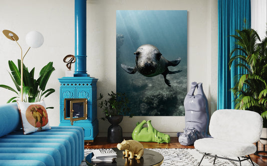Cuadro decorativo canvas Foca 001