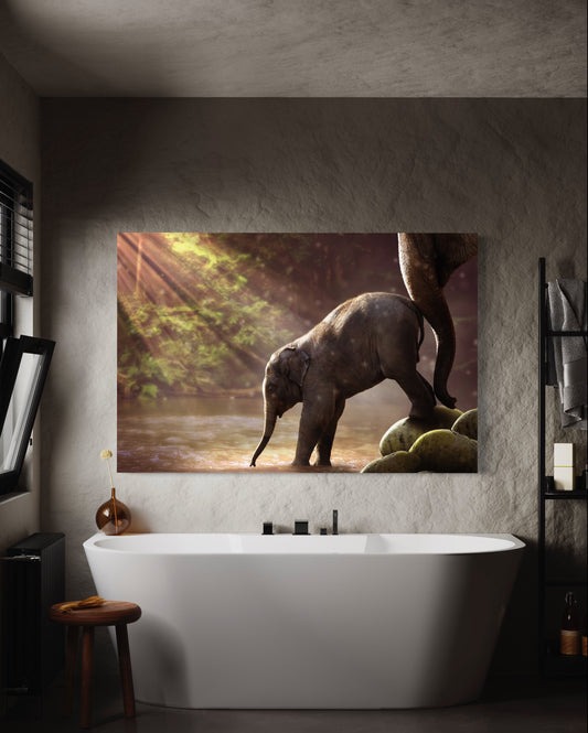 Cuadro decorativo canvas Elefantes 001