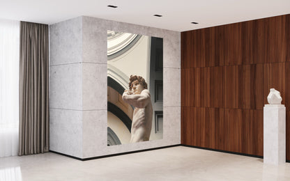 Cuadro decorativo canvas El David 002