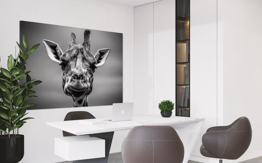 Cuadro decorativo canvas Jirafa 002