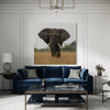 Cuadro decorativo canvas Elefante 011