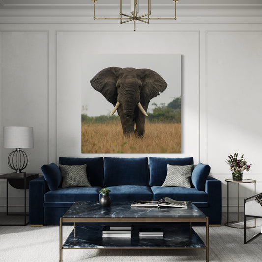 Cuadro decorativo canvas Elefante 011