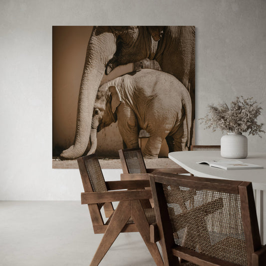 Cuadro decorativo canvas Elefantes 010