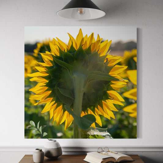 Cuadro decorativo canvas Girasol 002