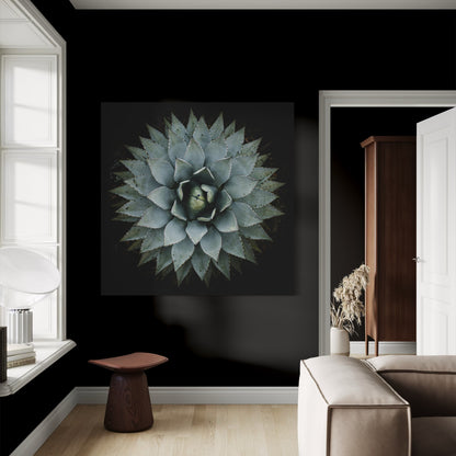 Cuadro decorativo canvas Suculenta 001