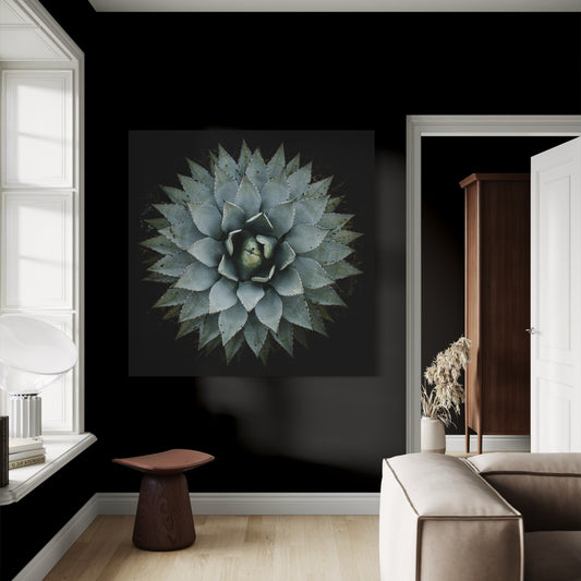 Cuadro decorativo canvas Suculenta 001