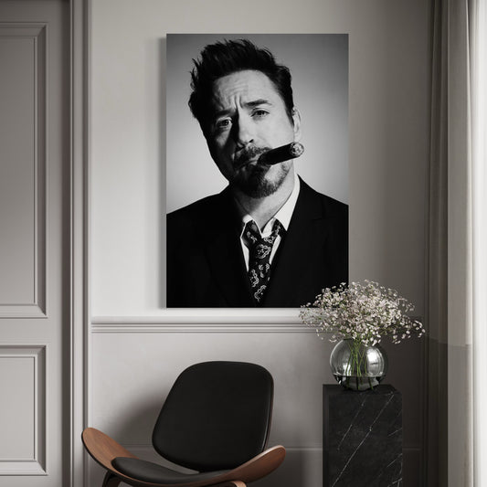 Cuadro decorativo canvas Robert Downey Jr.