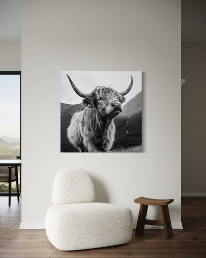 Cuadro decorativo canvas Toro Highland 004