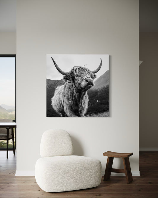 Cuadro decorativo canvas Toro Highland 004