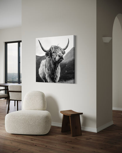 Cuadro decorativo canvas Toro Highland 004