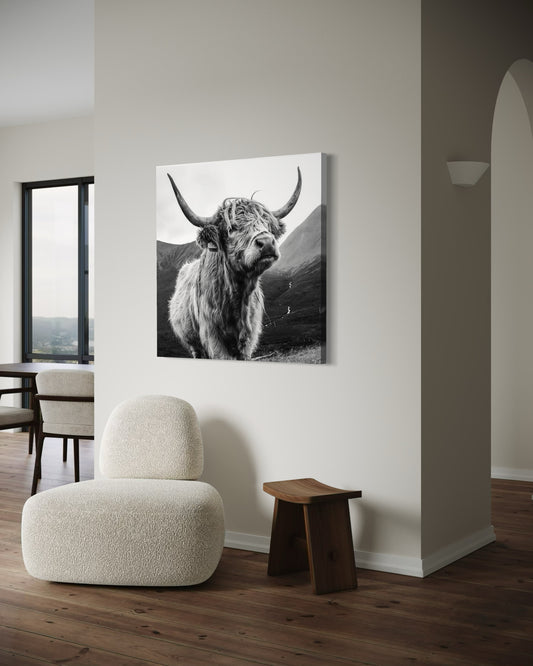 Cuadro decorativo canvas Toro Highland 004