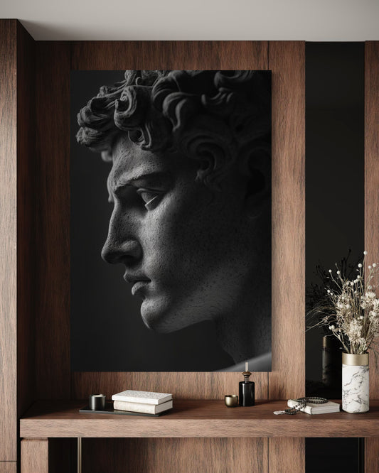 Cuadro decorativo canvas El David 006