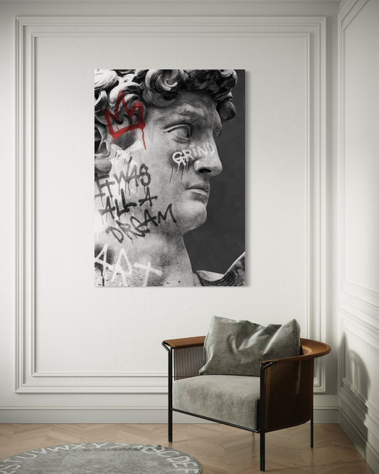 Cuadro decorativo canvas El David 005