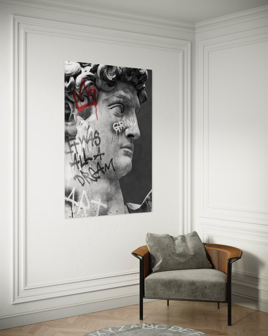 Cuadro decorativo canvas El David 005