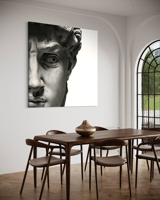 Cuadro decorativo canvas El David 008
