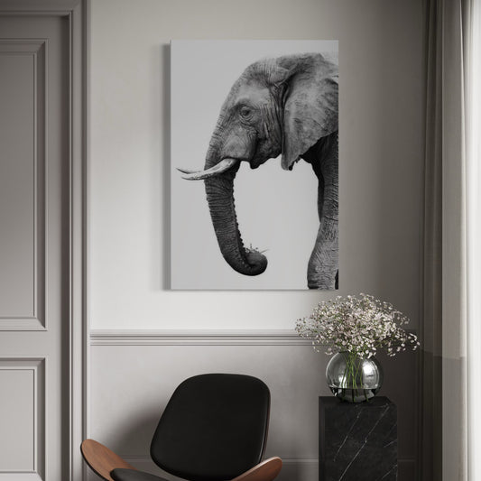 Cuadro decorativo canvas Elefante 009