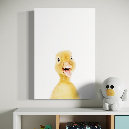 Cuadro decorativo canvas Pato 001