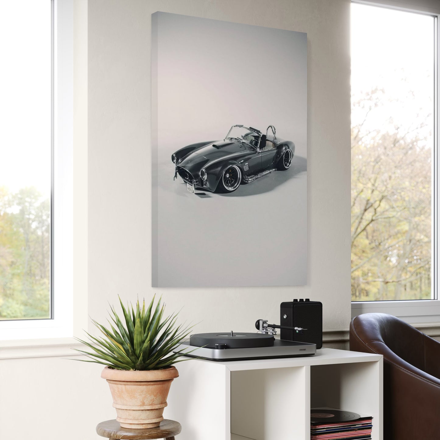 Cuadro decorativo canvas Shelby Cobra 004