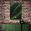 Cuadro decorativo canvas En la Inmensidad