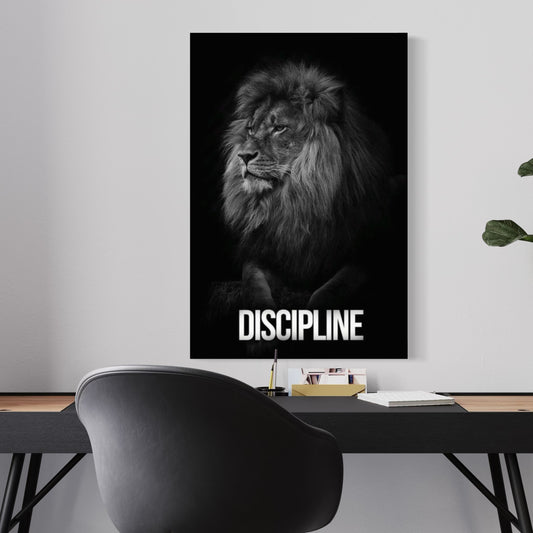 Cuadro decorativo canvas Discipline