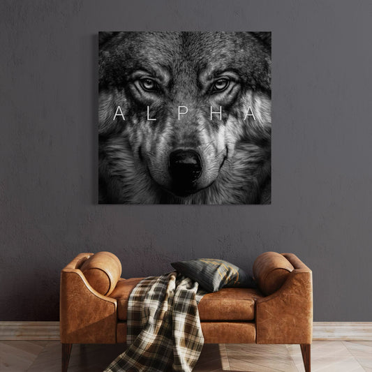 Cuadro decorativo canvas Alpha