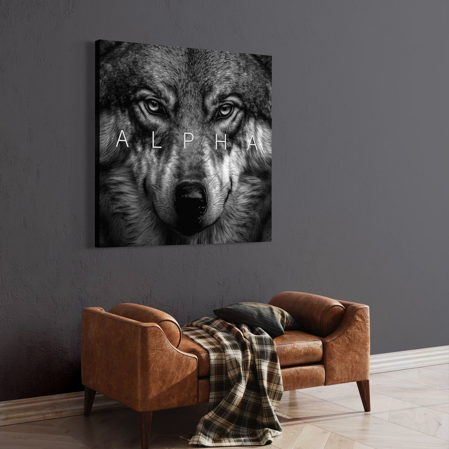 Cuadro decorativo canvas Alpha