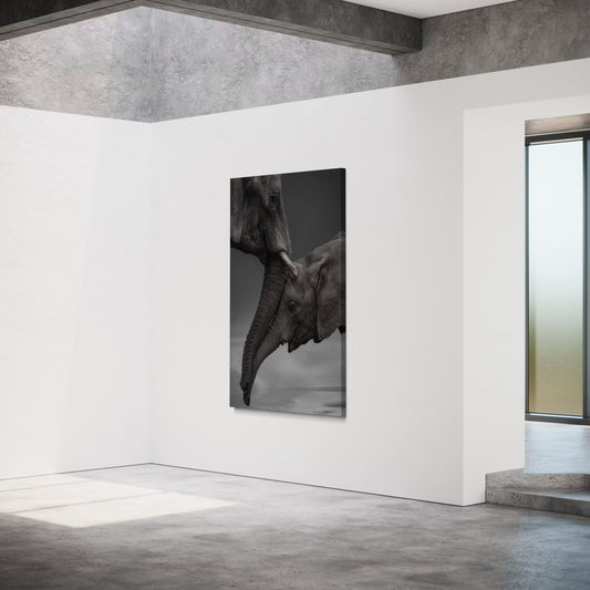 Cuadro decorativo canvas Elefantes 011