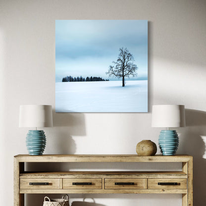 Cuadro decorativo canvas Paisaje 093