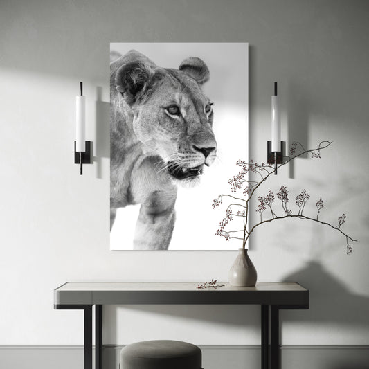 Cuadro decorativo canvas Leona