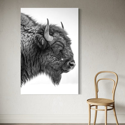 Cuadro decorativo canvas Buffalo 003