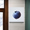 Cuadro decorativo canvas Arándano
