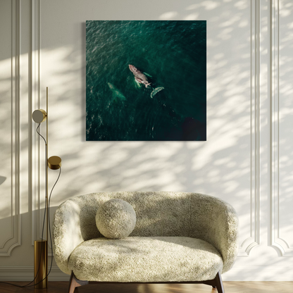 Cuadro decorativo canvas Ballena 003