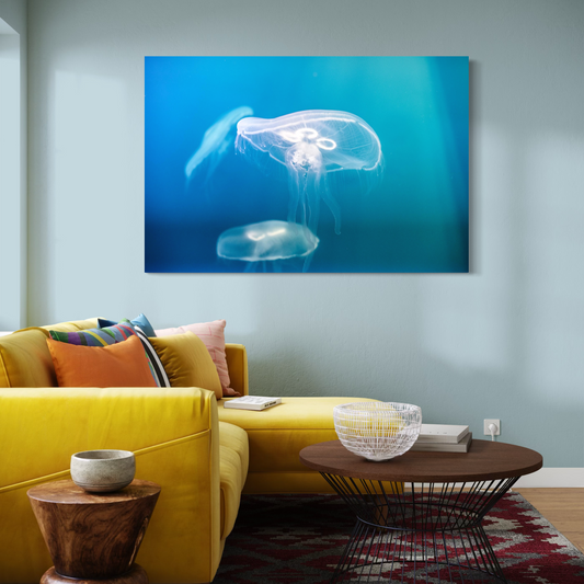 Cuadro decorativo canvas Medusas 001