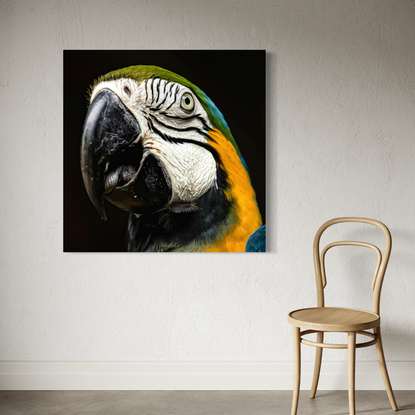 Cuadro decorativo canvas Guacamaya 002