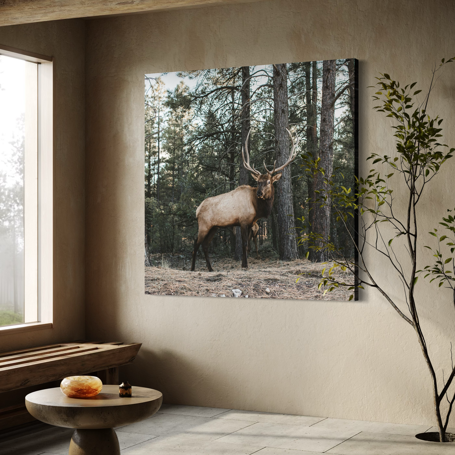 Cuadro decorativo canvas Alce 003