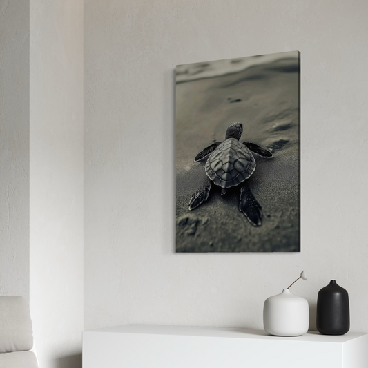 Cuadro decorativo canvas Tortuga 004