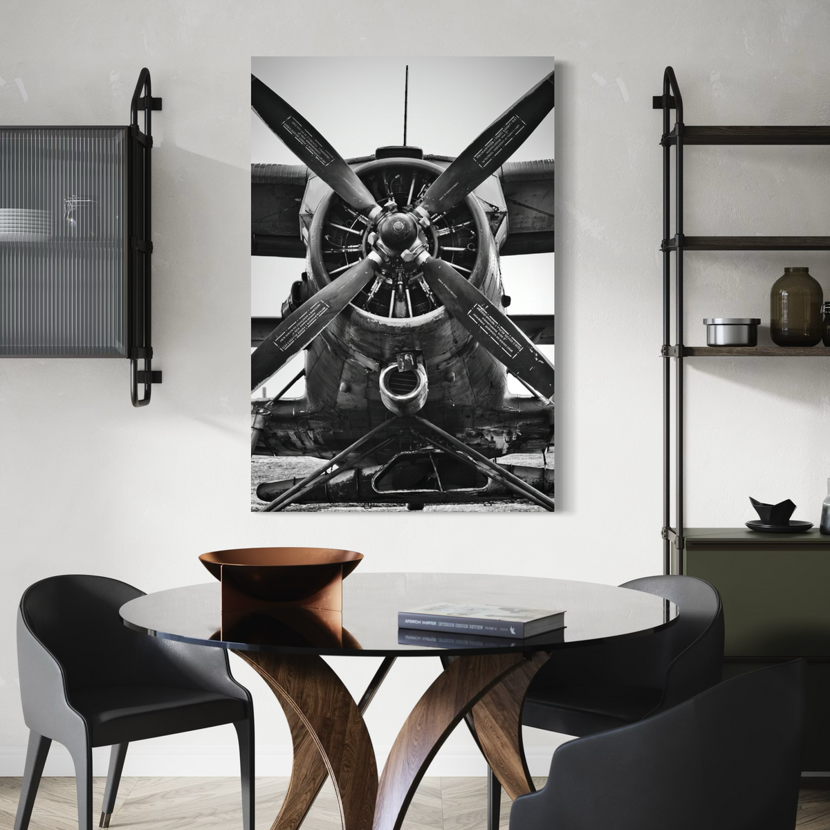 Cuadro decorativo canvas Biplano 001